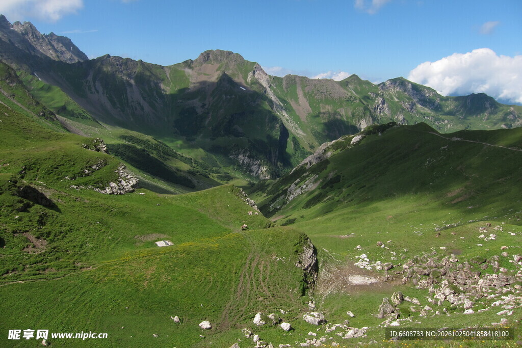 高原草甸山野风光