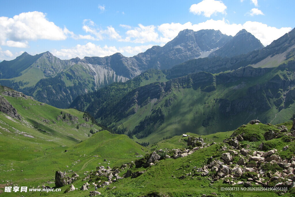 高山草甸自然风景