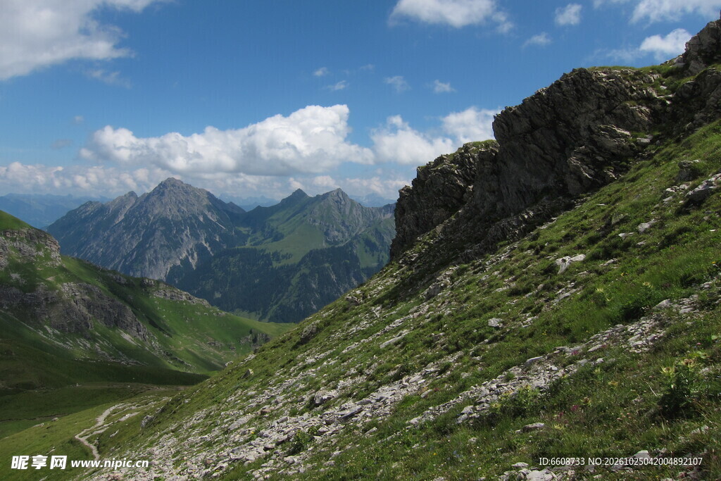 高山草甸山野风光