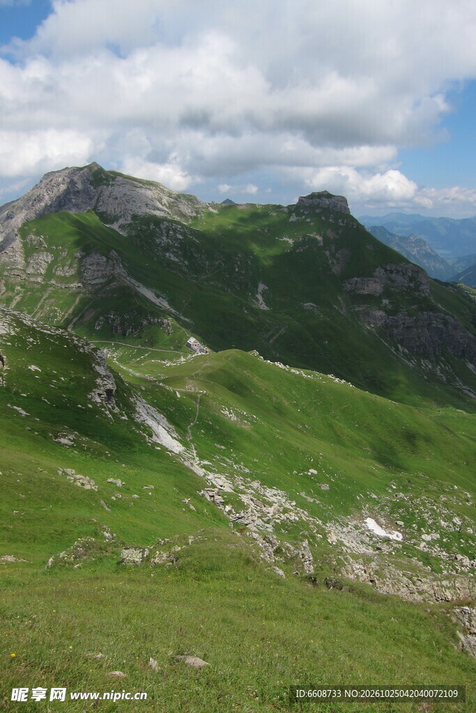 山地草甸自然风景