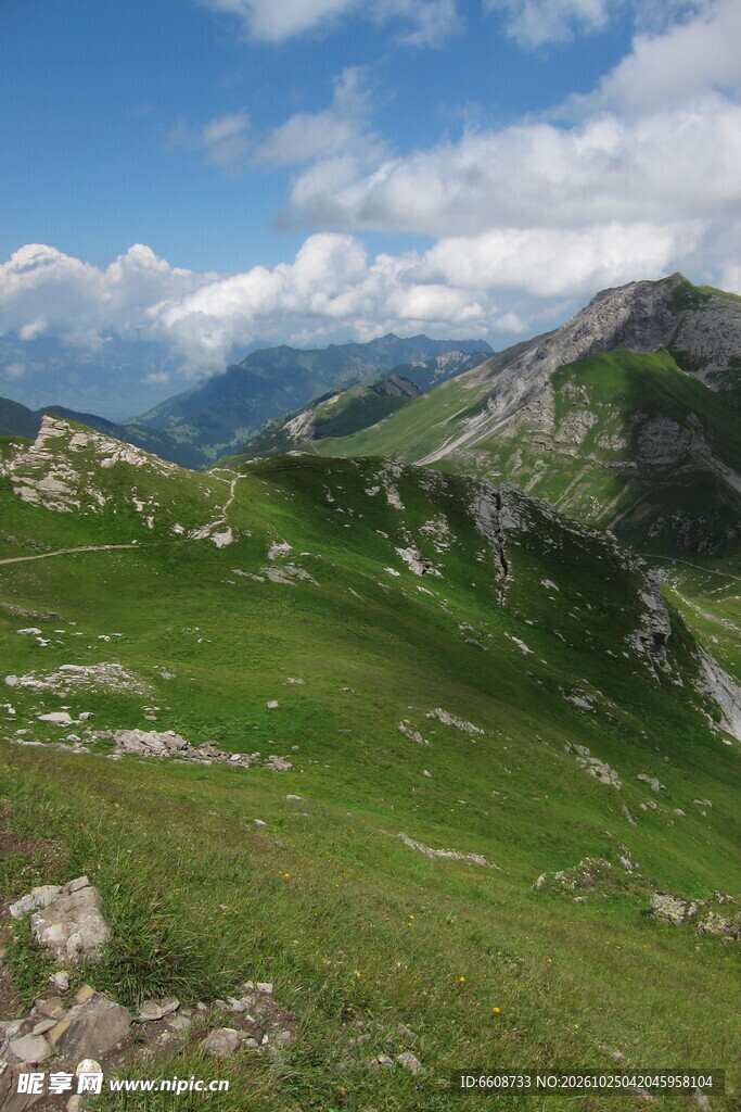 高山草甸自然风光