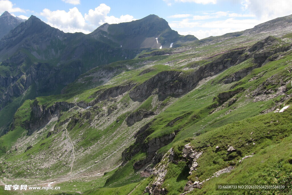 高山草甸山野风光