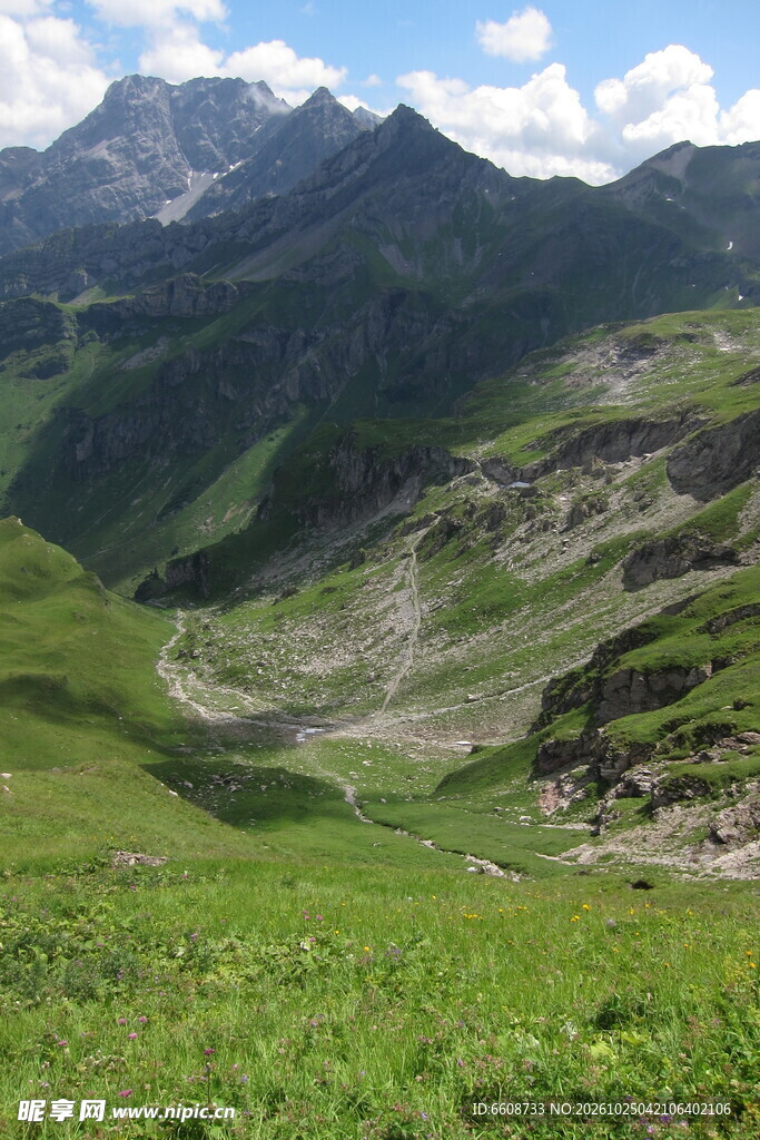高原山地草甸风光