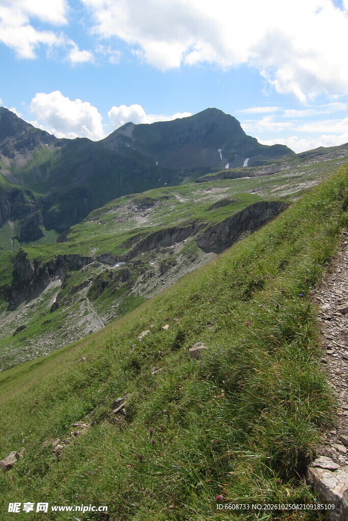 高山草甸山野风光