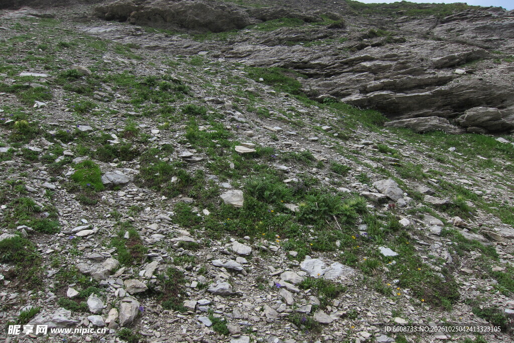 碎石坡草地自然景观