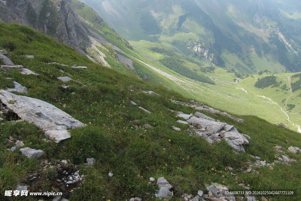 高山草甸山野风光