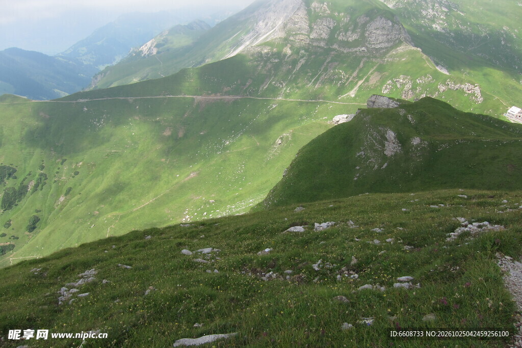 高山草甸山野风光