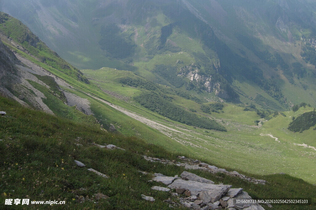 山间草甸公路风光