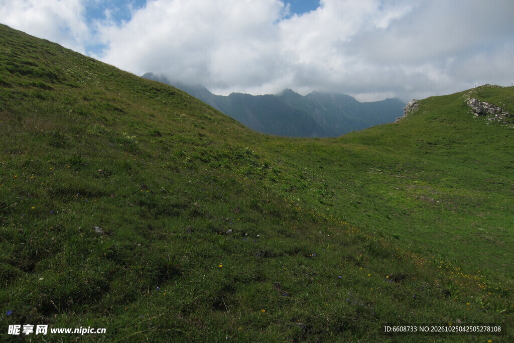 高山草甸自然风光
