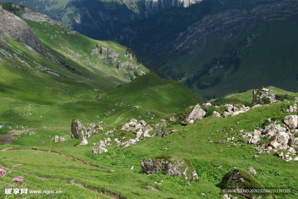 高山草甸山野自然风光