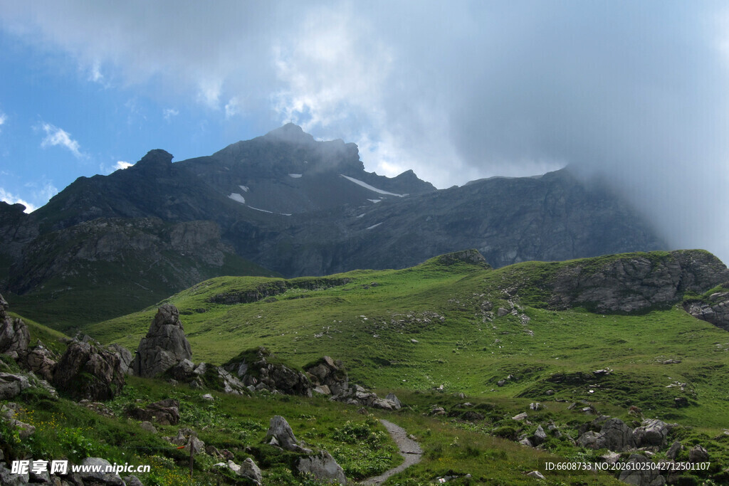 高山草甸自然风景