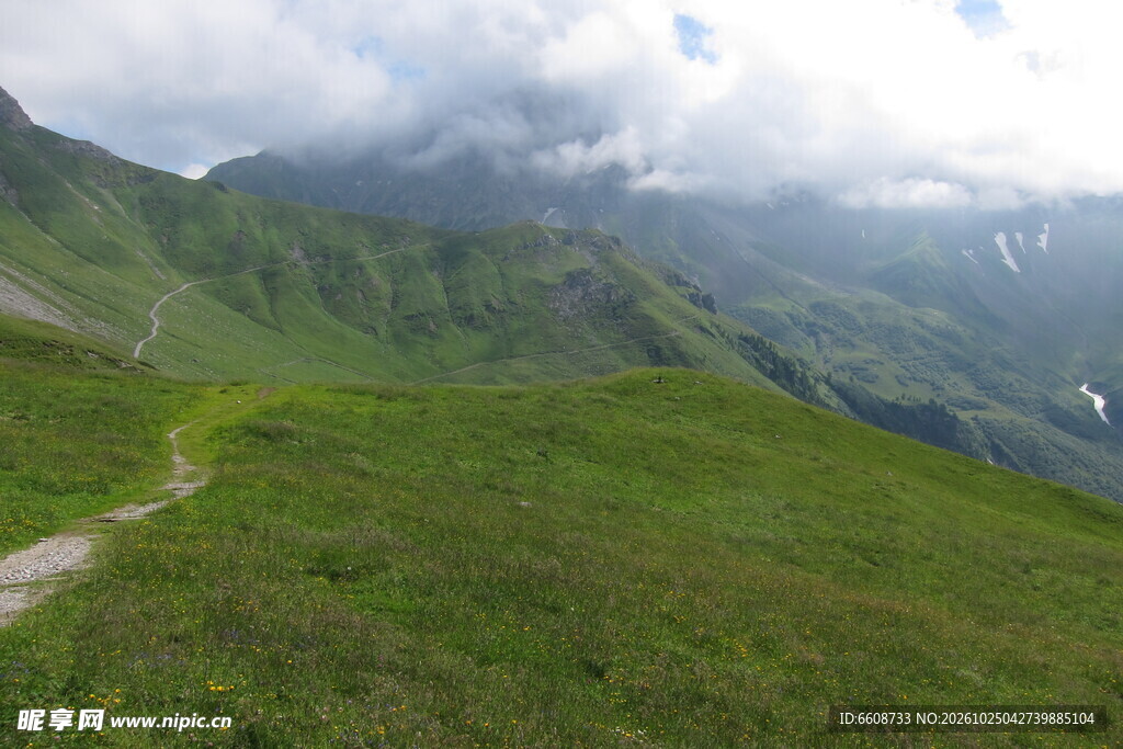 山野草甸自然风景