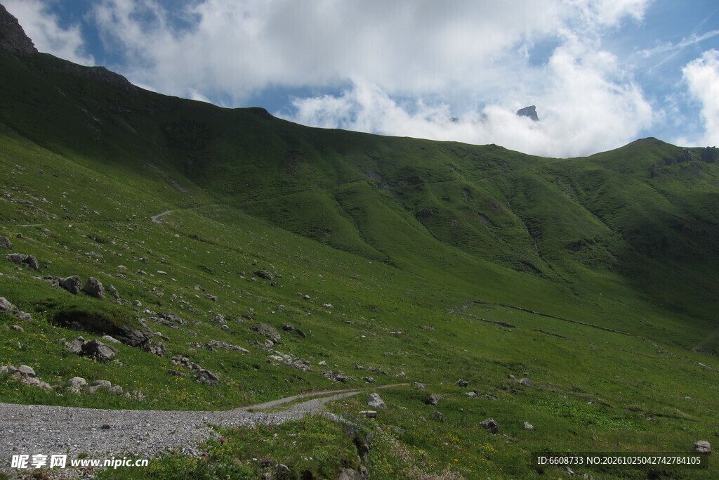 高山草甸山野风光