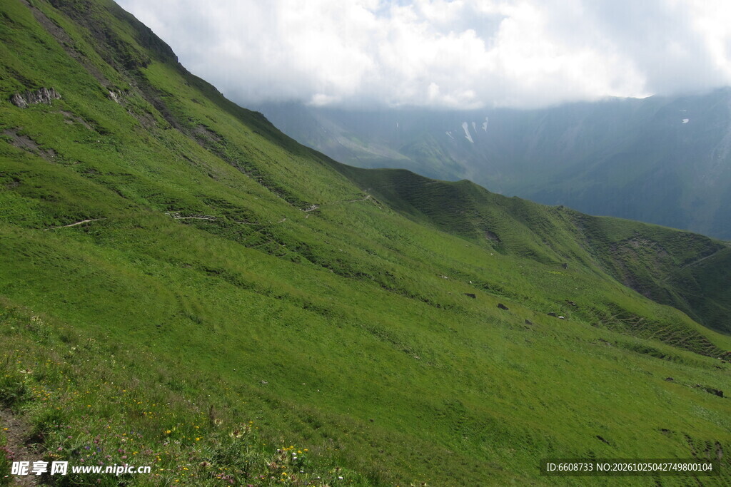 高山缓坡草甸风光