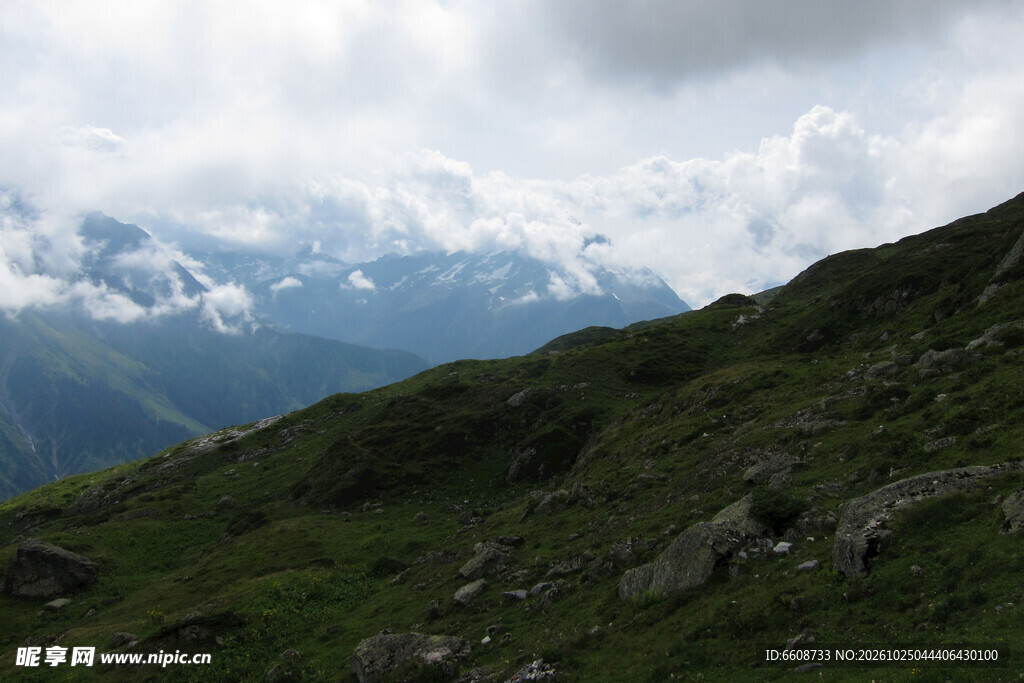 高山草坡山野风光