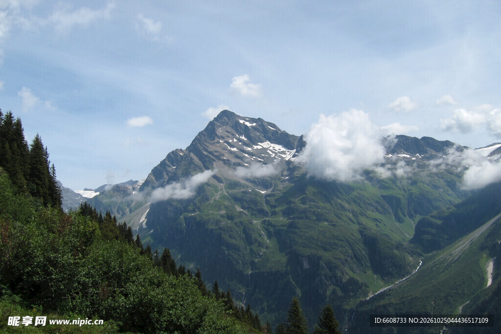 高山云雾山林盛景