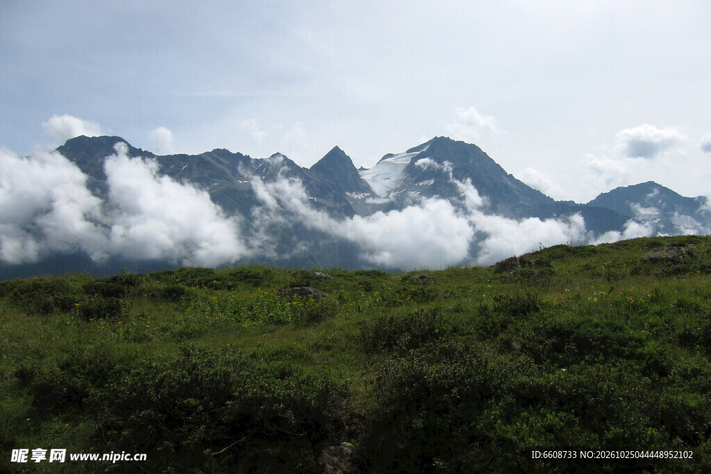 高原山间云雾草甸风光