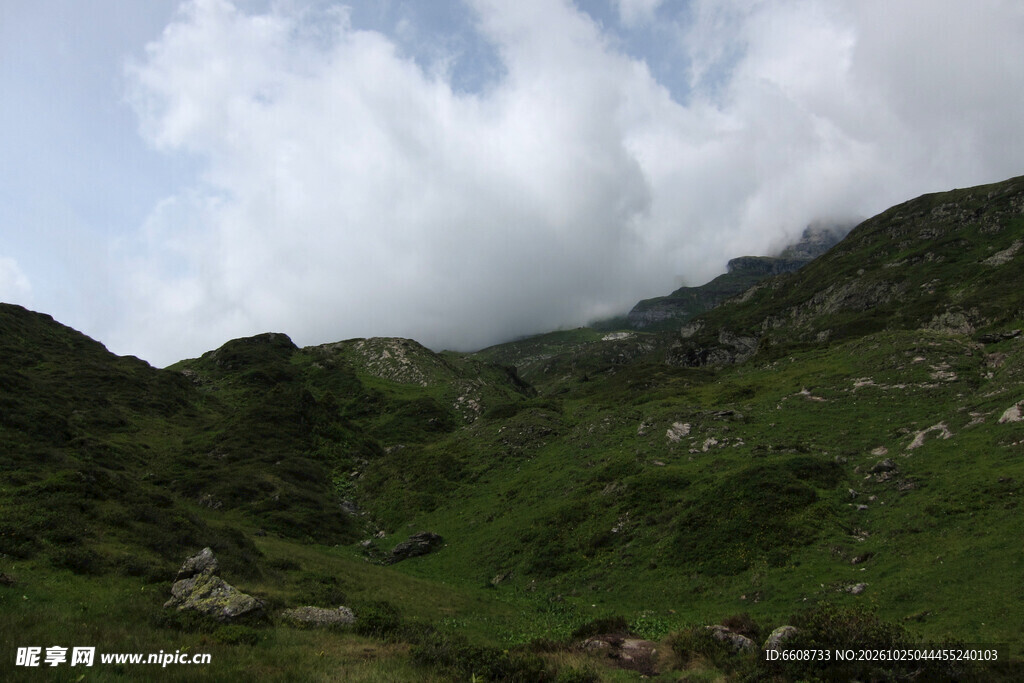 山野草坡云天自然风景