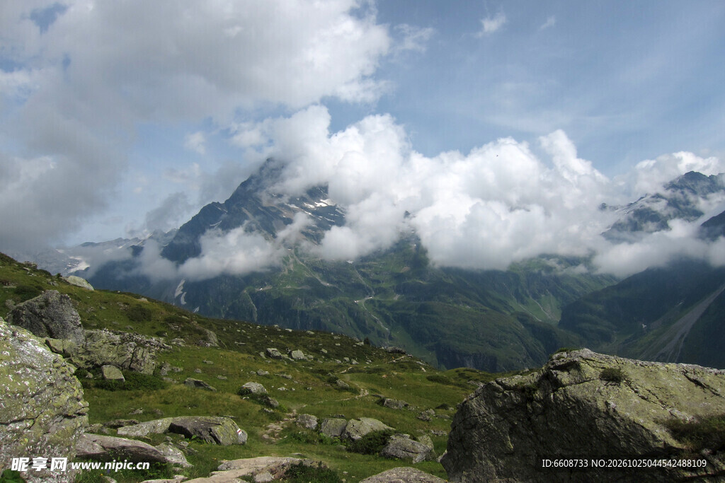 高山草甸自然风景
