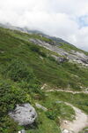 高山草坡自然景观