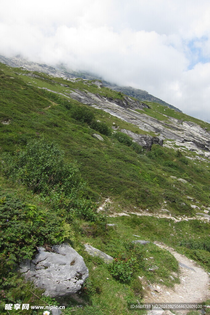 高山草坡自然景观