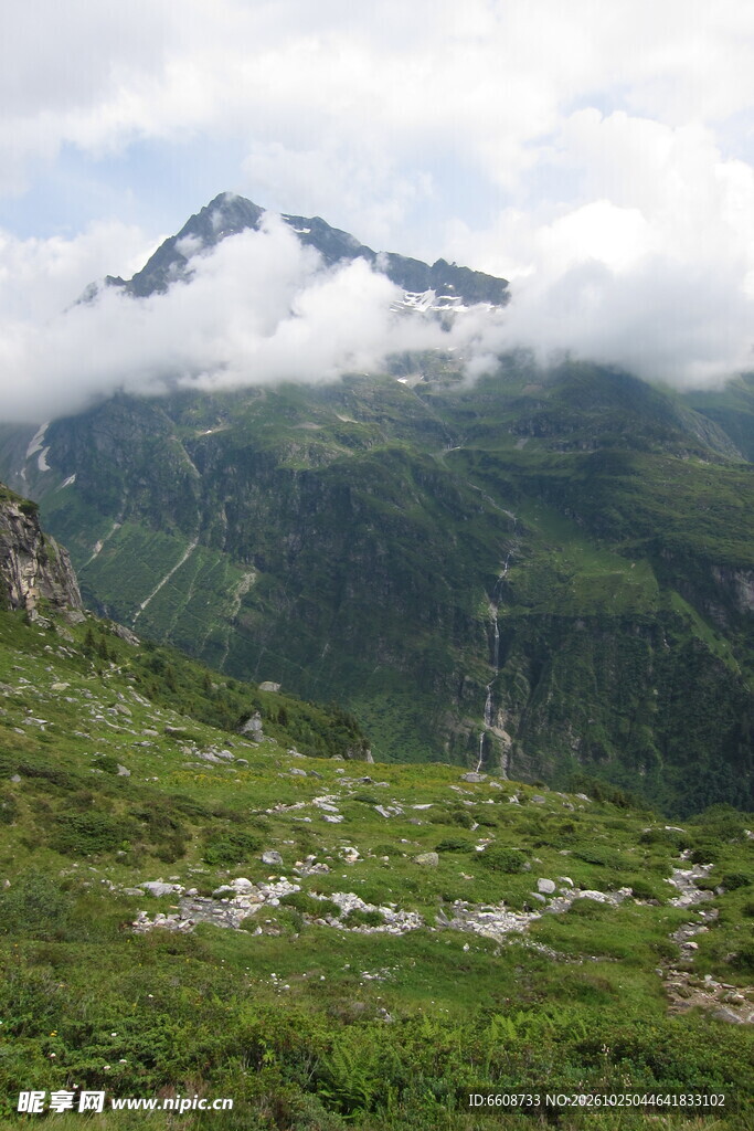 云雾高山草甸自然景观