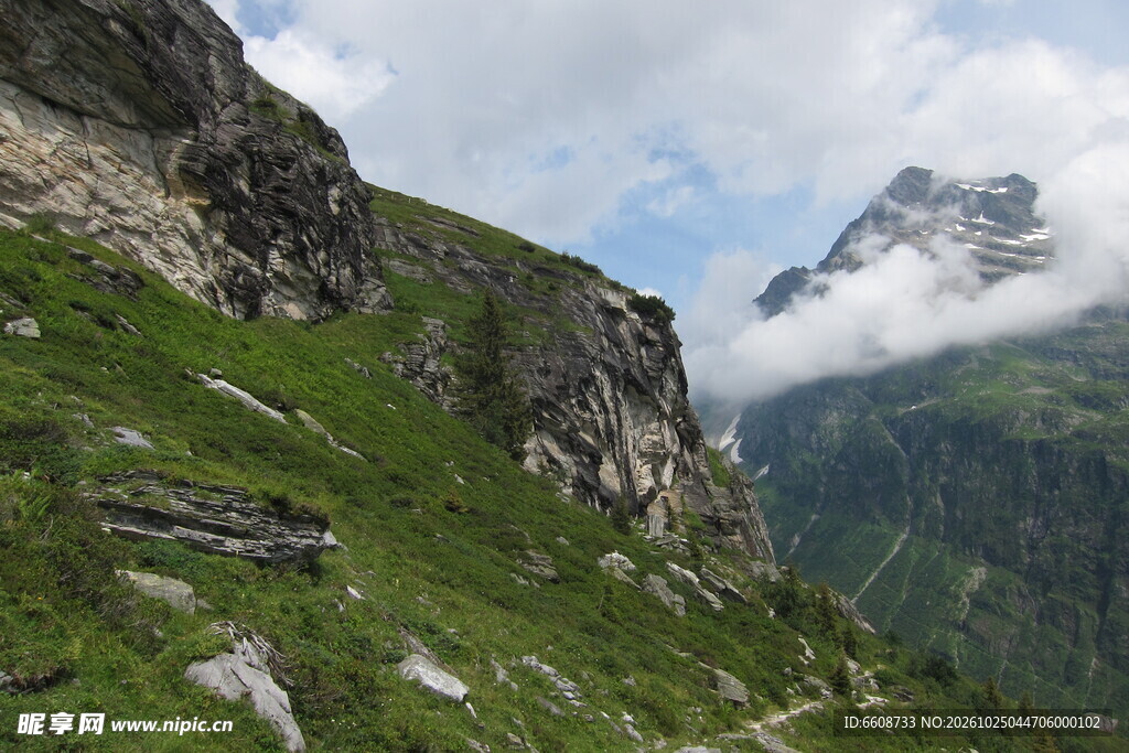 高山草甸云雾山景
