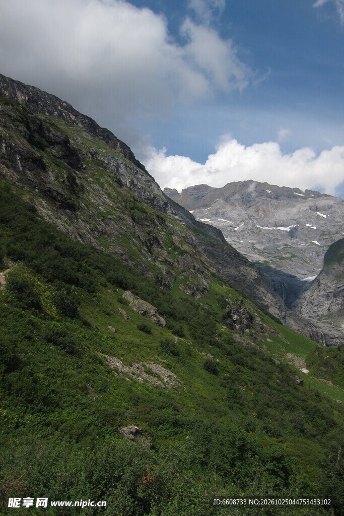 高山草甸山野风光