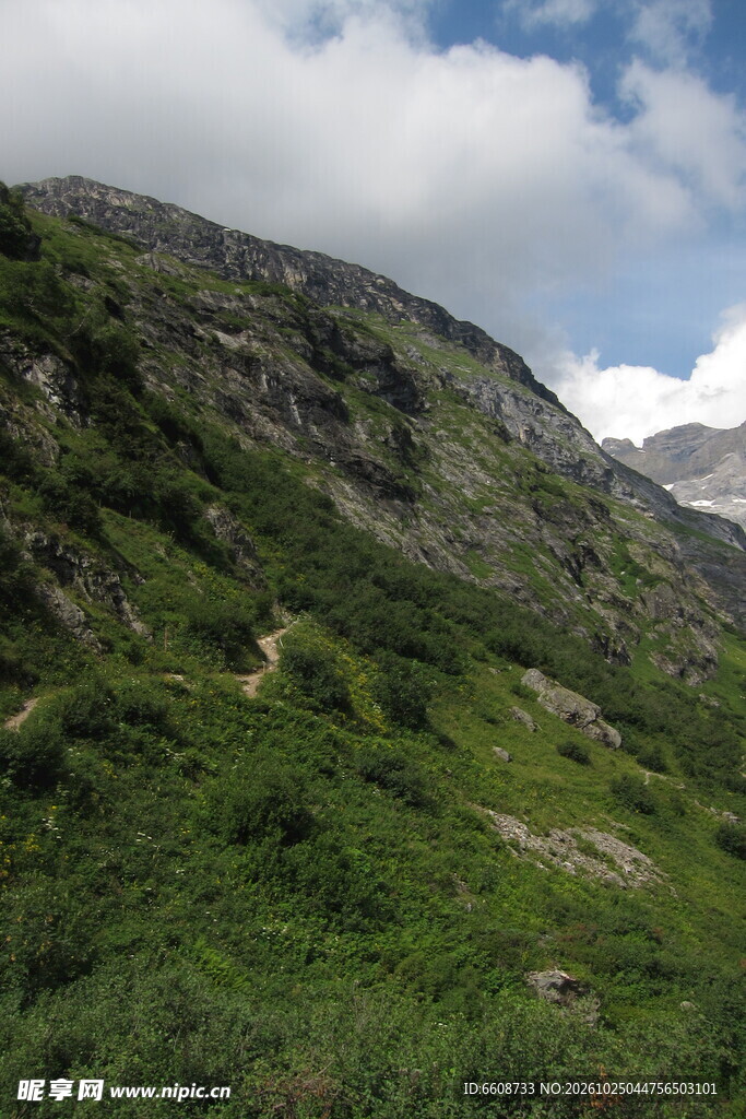 高山草坡自然景观