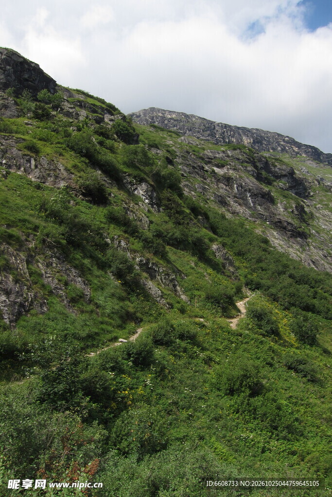 山野草坡自然风光