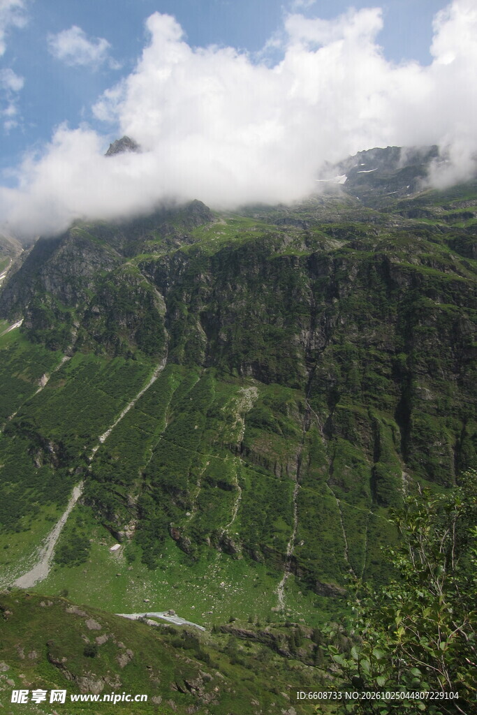 高山草甸山野公路风光