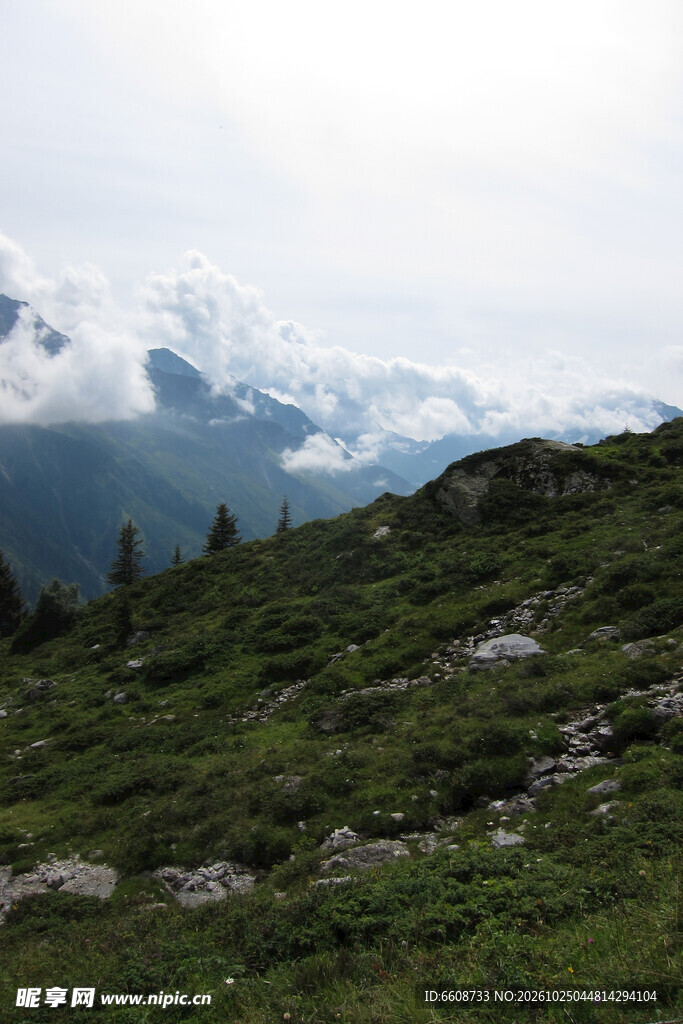 高山草甸云雾山景
