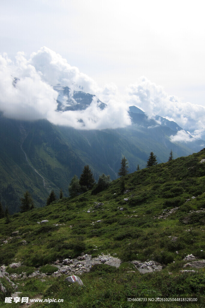 高山云雾草甸风光