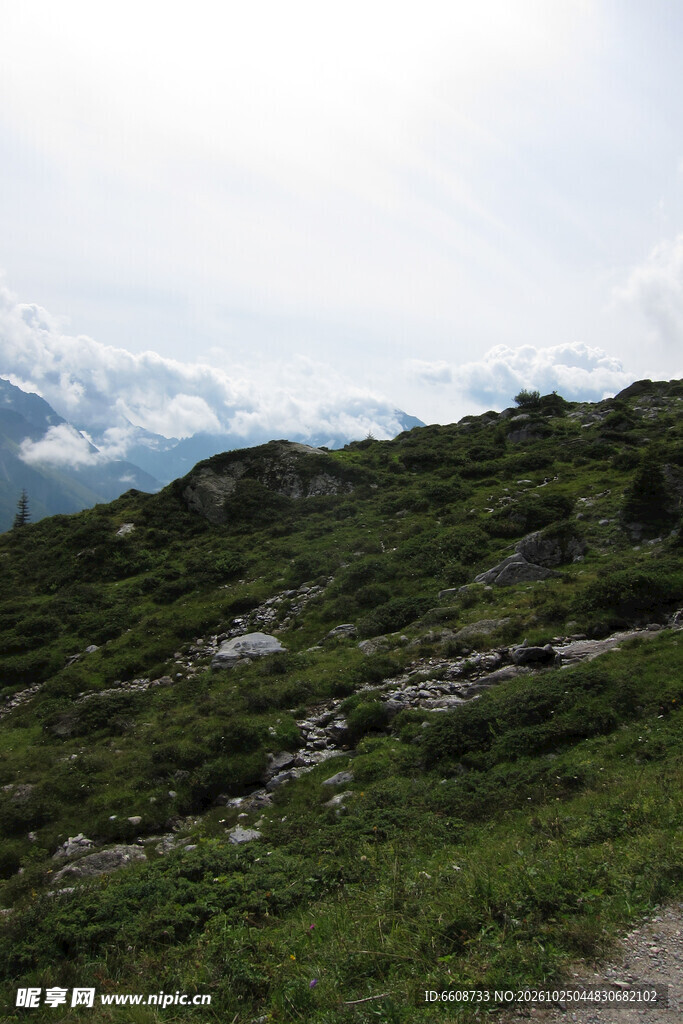 山地草坡自然景观