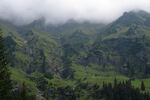 雾绕青山山野风光