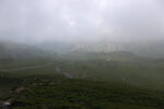 雾中郊野自然风景