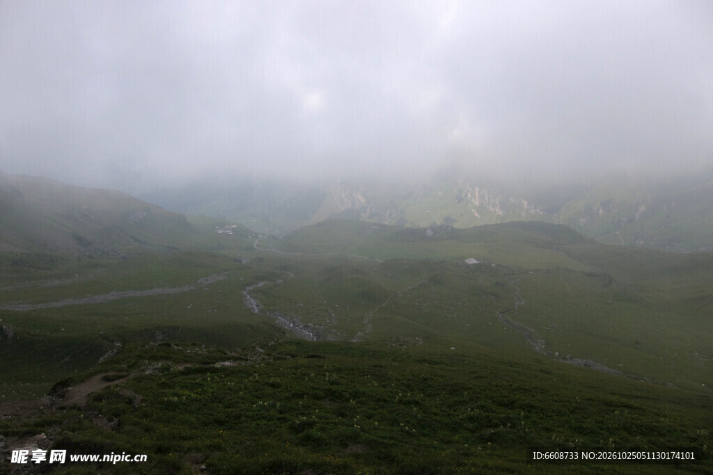 雾中郊野自然风景