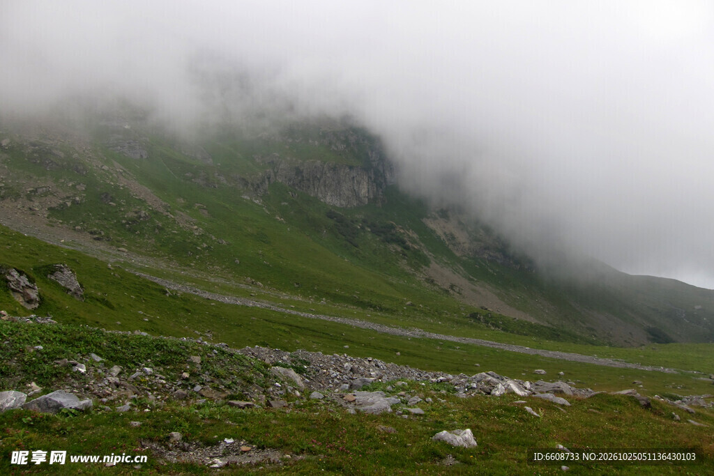 雾绕山野草坡自然景观