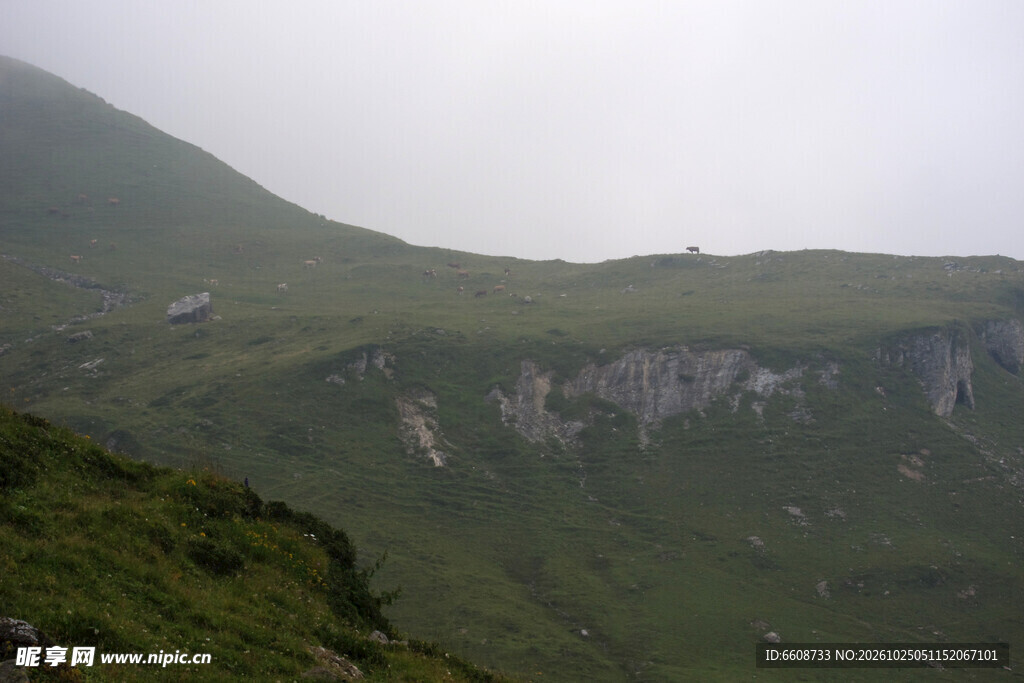 阴天山野自然风景
