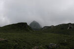 阴天山野草甸风光