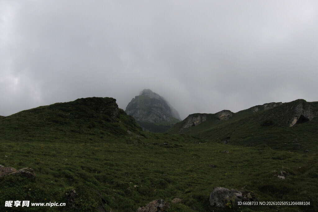 阴天山野草甸风光