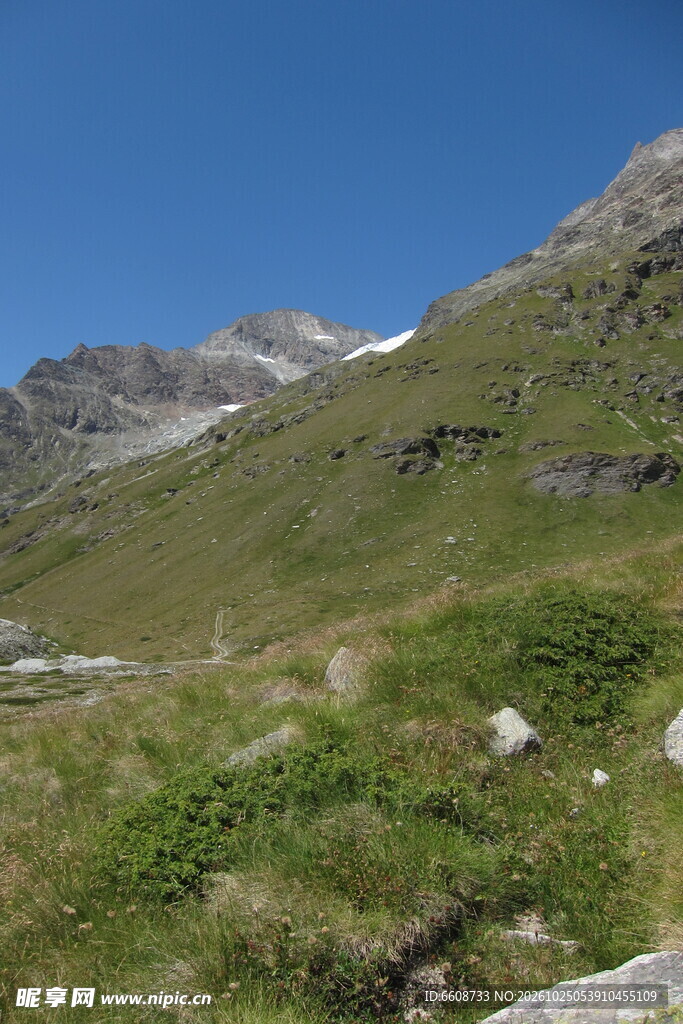 高山草甸晴日风光