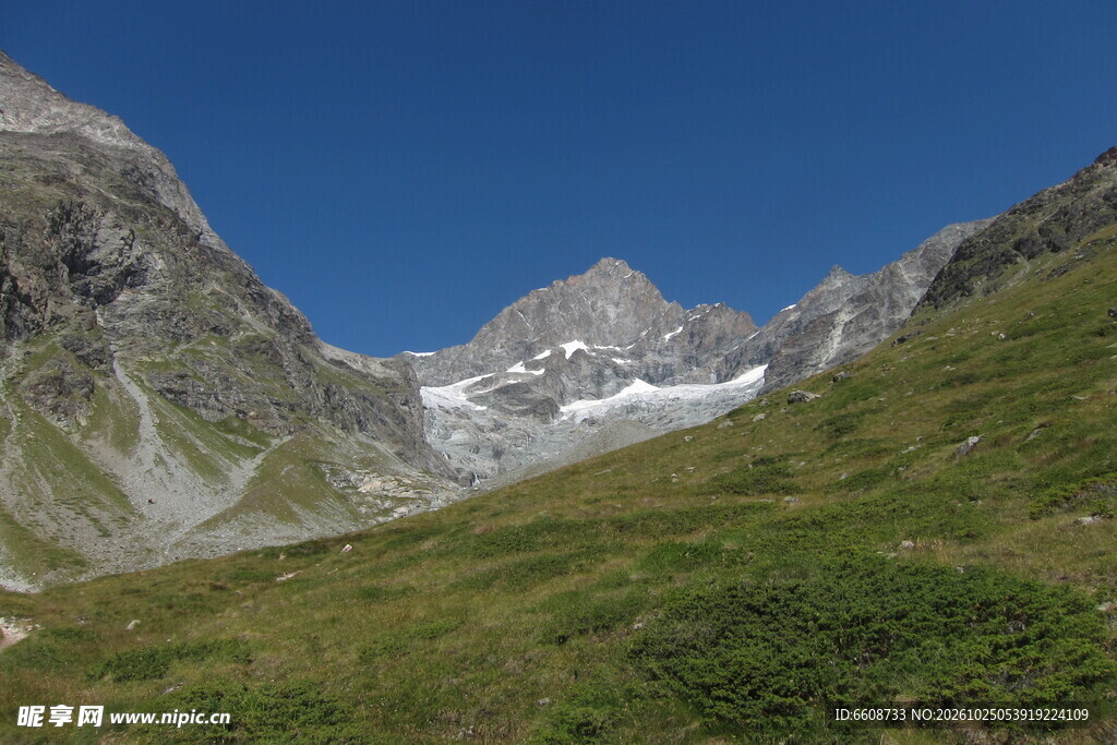 高山草甸雪山风光