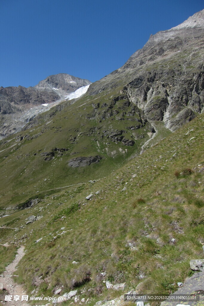 高原山地草甸风光
