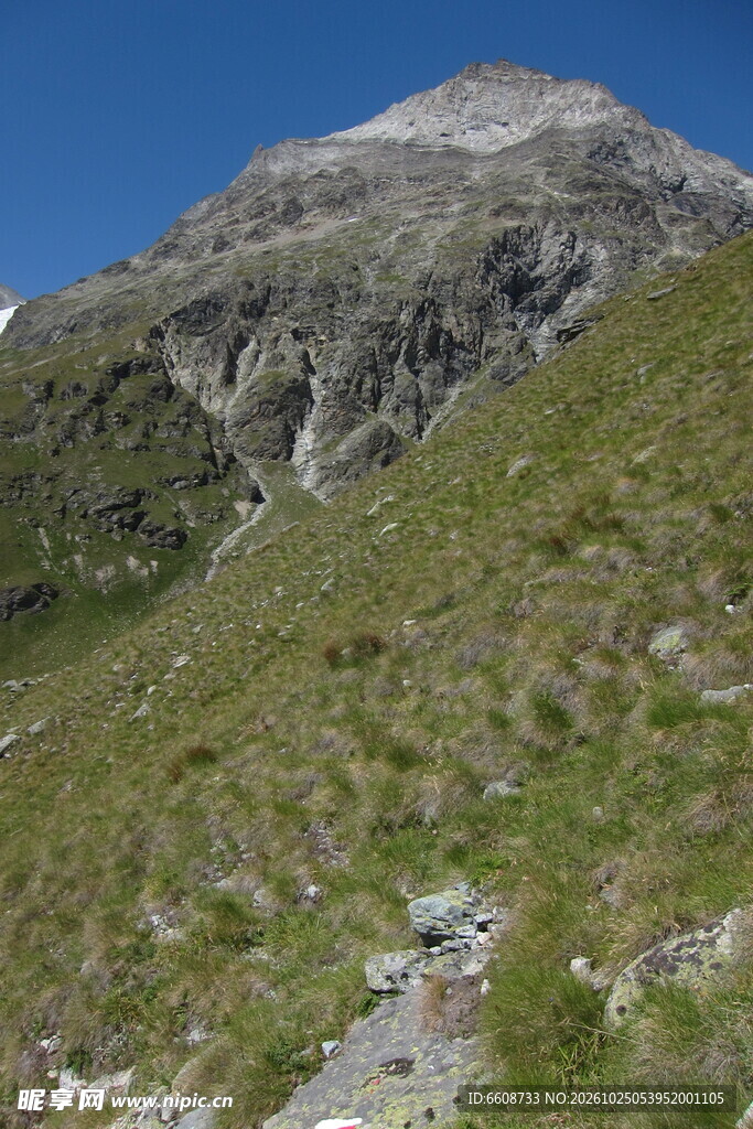 高山草甸山野风光