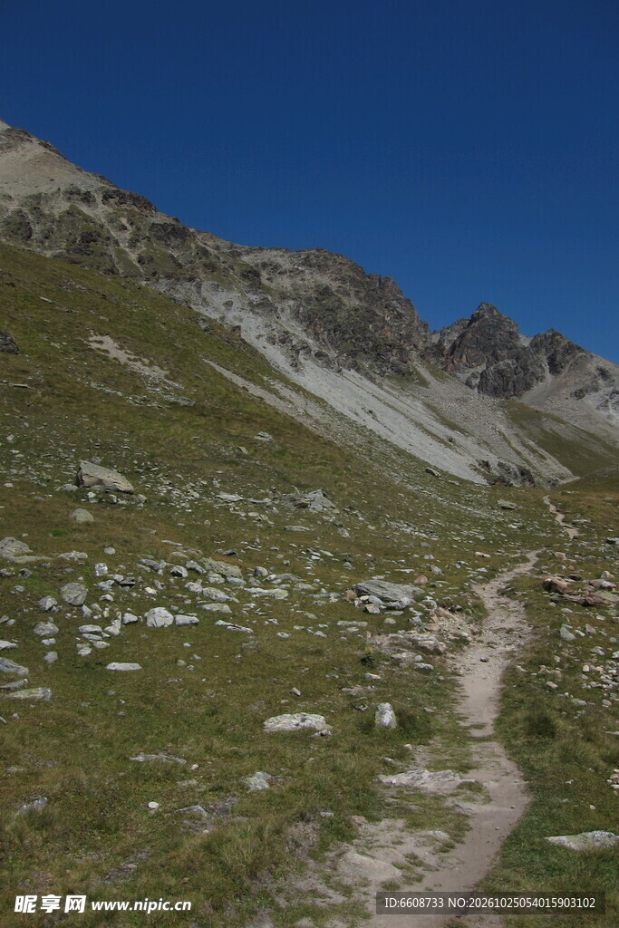 高山草甸山间步道风景