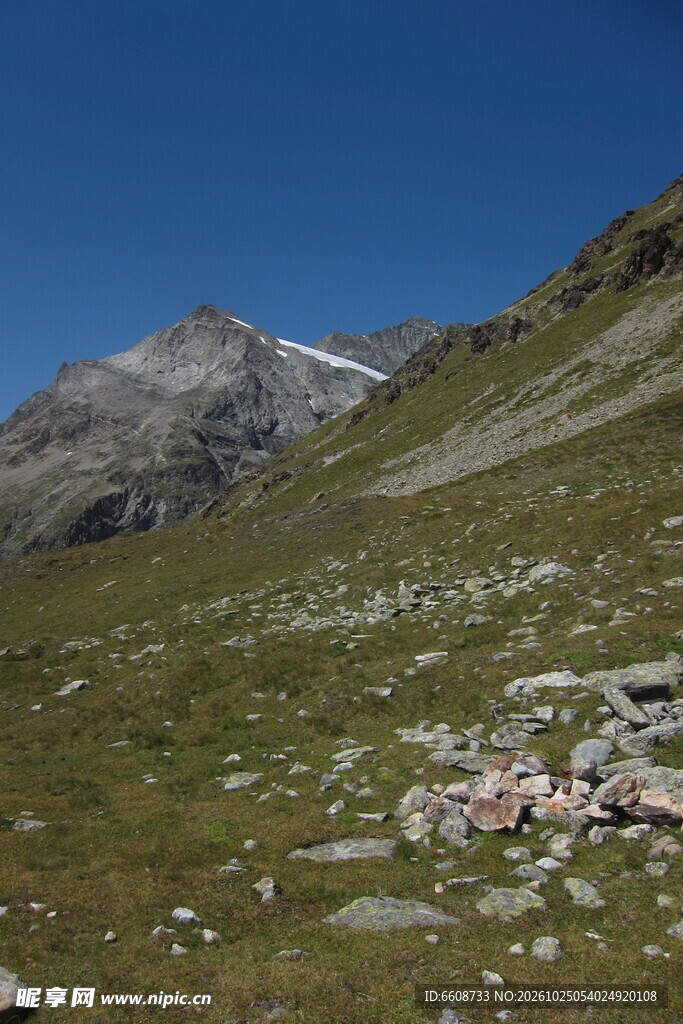 高山草甸晴日风光