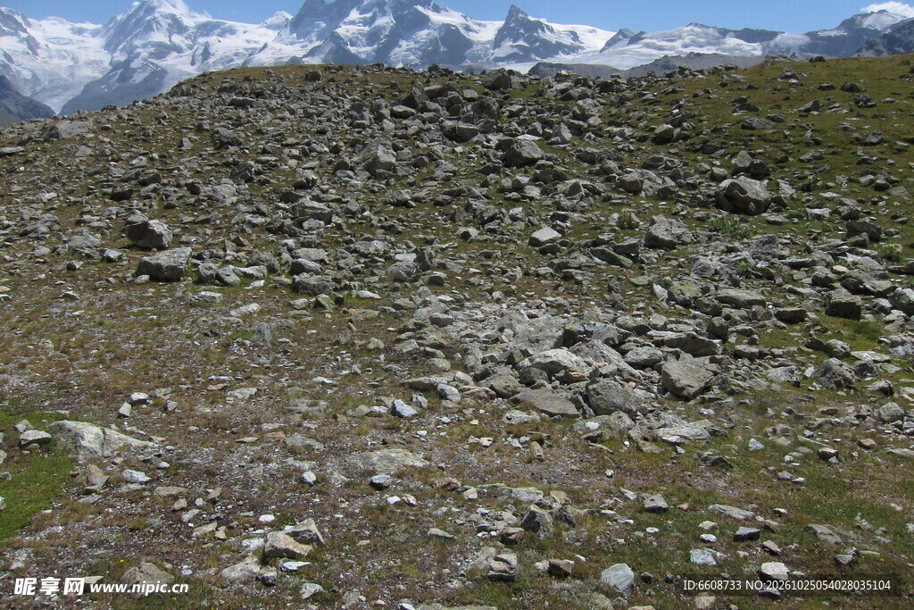 高原碎石草甸雪山风光