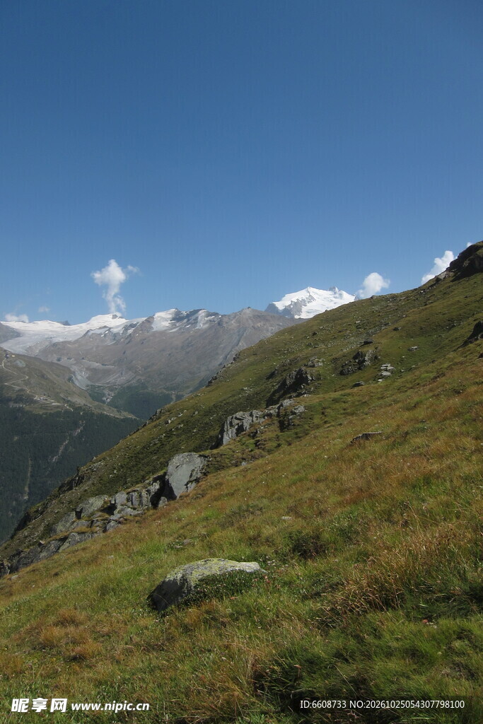 高山草甸晴日风光