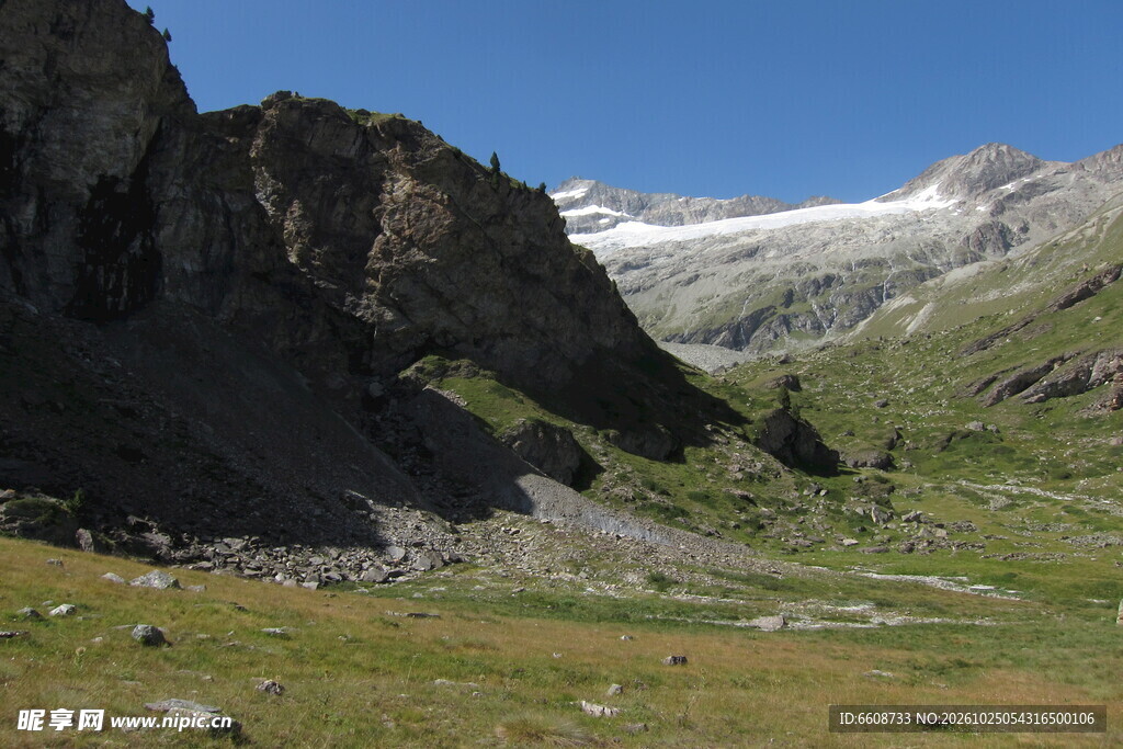 高山草甸雪山风光
